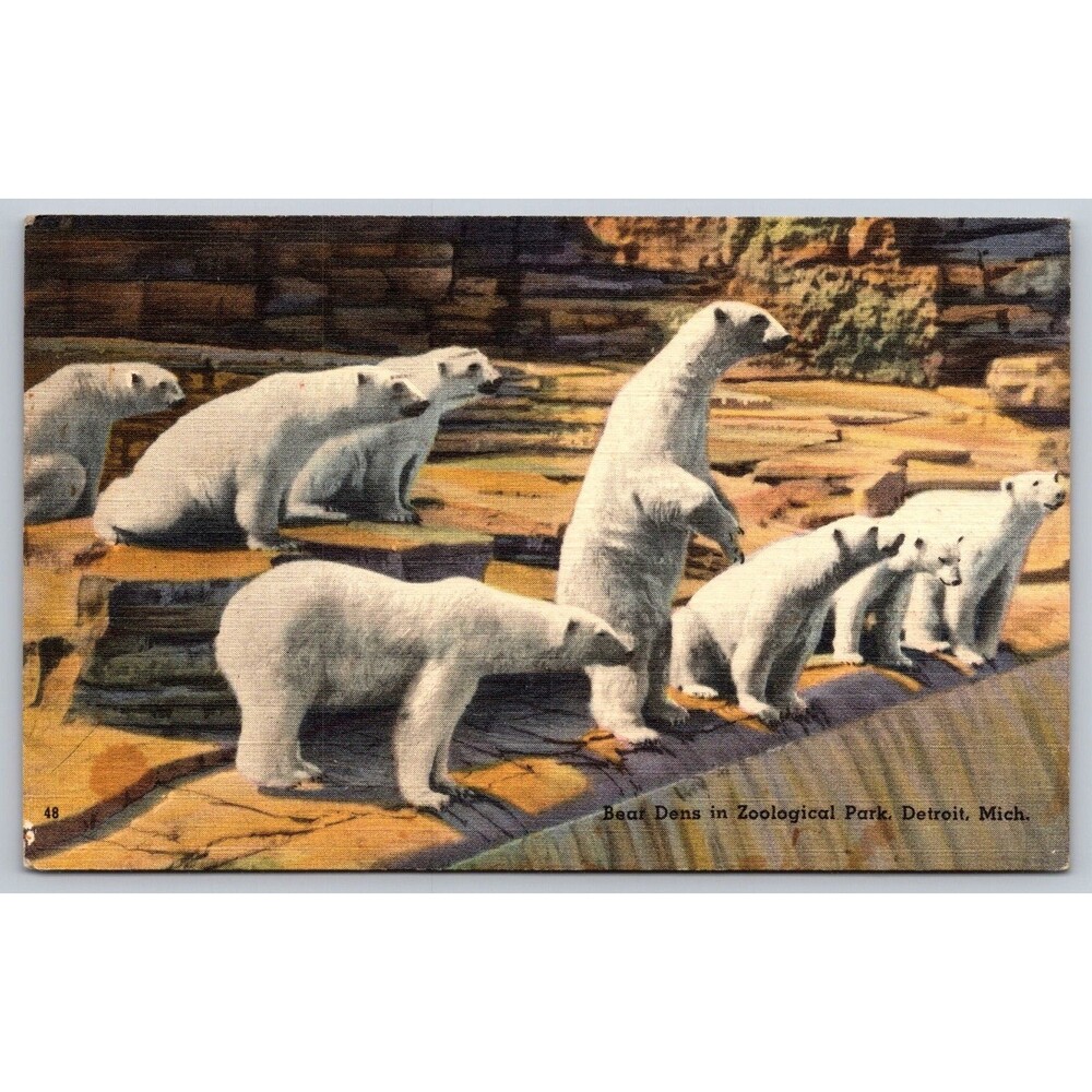 1950 Detroit Zoo Polar Bear Dens Linen Postcard  Tichnor Quality Views Posted